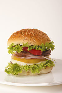 Close-up of burger against white background