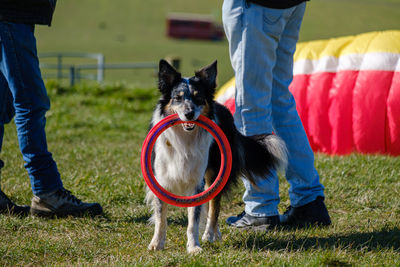 Low section of people with dog standing on street