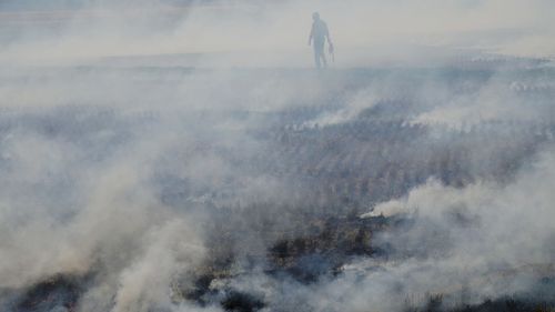 Smoke emitting from paddy field