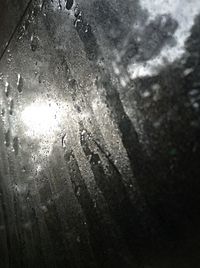 wet