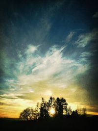Silhouette of trees at sunset