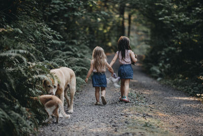 Rear view of sisters holding hands while walking amidst forest