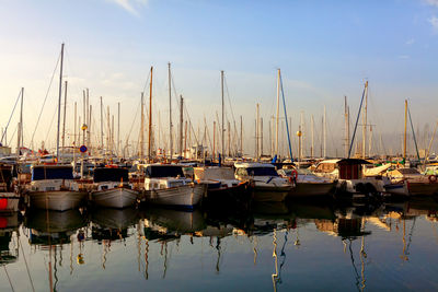 Yachts harbor in the morning . marina small craft harbor