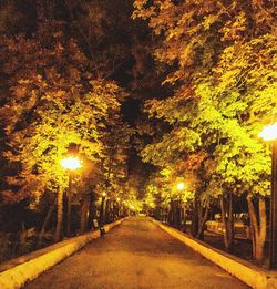 Street amidst trees during autumn at night