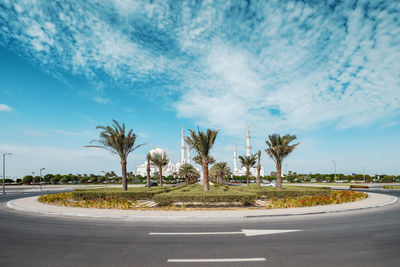 Palm trees on land against sky