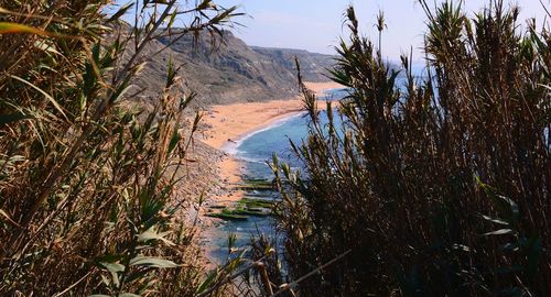 Scenic view of river amidst trees against sky