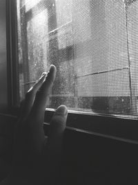 Close-up of hand touching netting on window