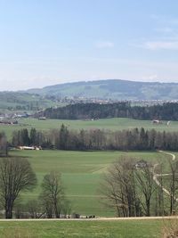 Scenic view of field against sky