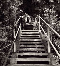 Low angle view of stairs