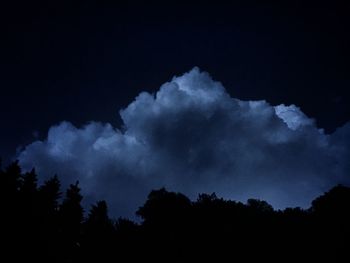 Low angle view of trees against sky