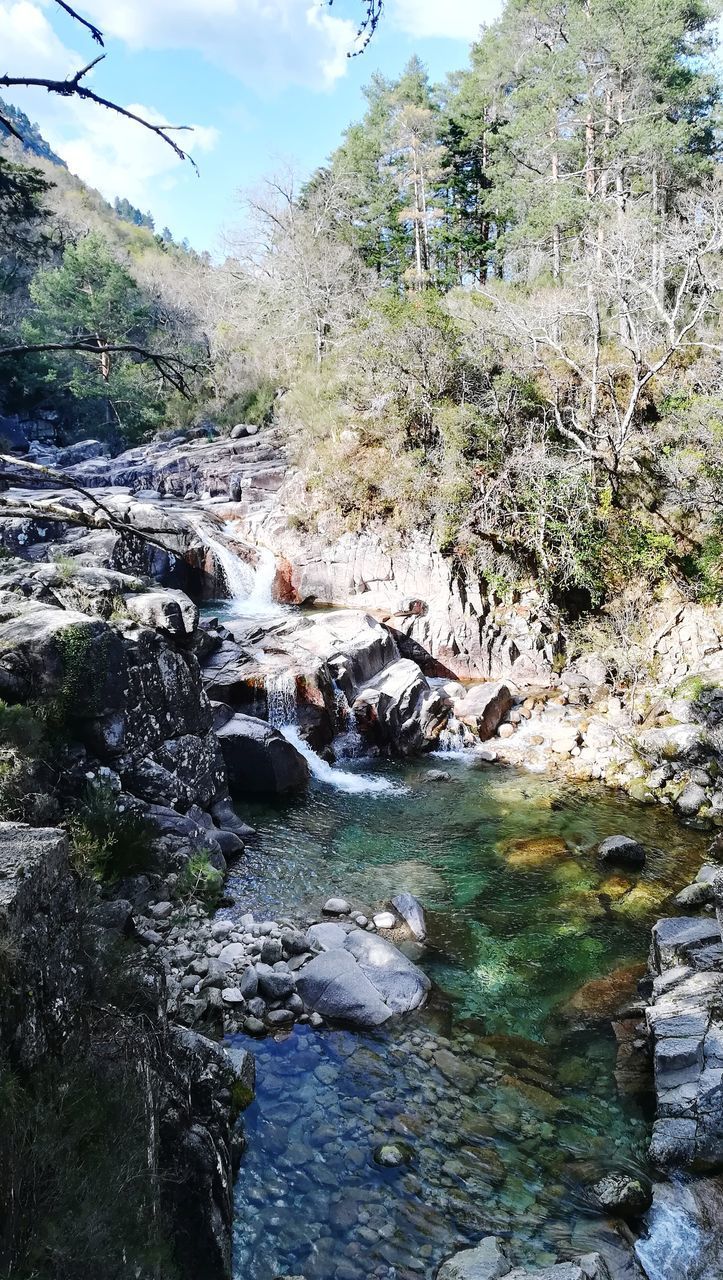 STREAM FLOWING THROUGH ROCKS IN FOREST