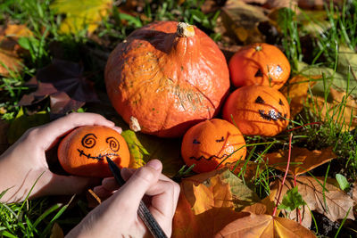 Cropped hand holding pumpkin on field