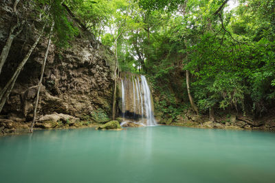 Scenic view of waterfall in forest