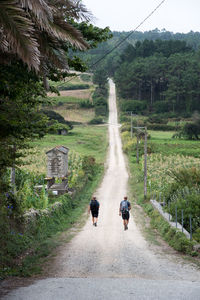 Rear view of people walking on road against sky