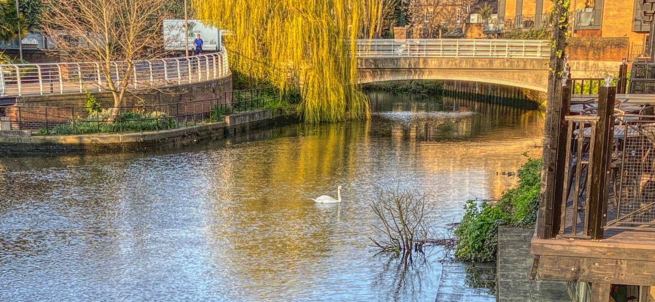 water, reflection, architecture, built structure, building exterior, bridge, waterfront, river, nature, bridge - man made structure, day, no people, connection, building, tree, plant, outdoors, transportation, arch bridge