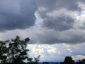 Low angle view of tree against cloudy sky