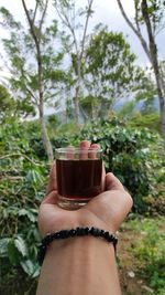 Cropped image of hand holding coffee cup