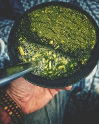 High angle view of person holding leaf