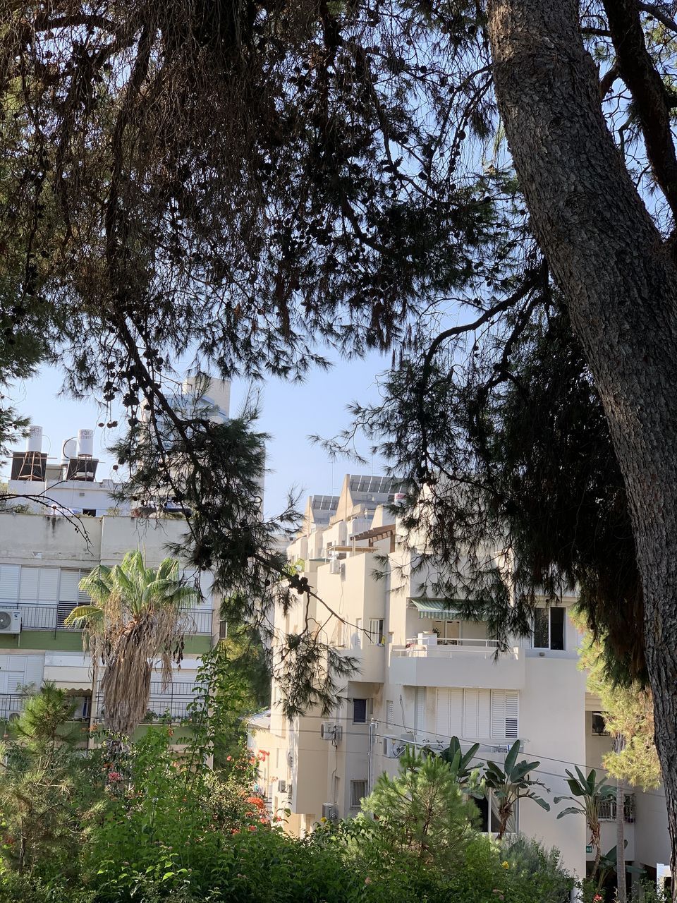 LOW ANGLE VIEW OF TREES AND BUILDINGS