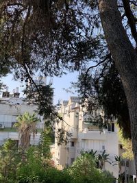 Low angle view of buildings