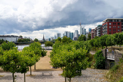 Trees and buildings in city against sky