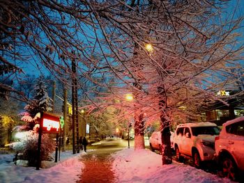 Road along bare trees in winter