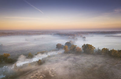 Aerial view of trees in forest during foggy weather