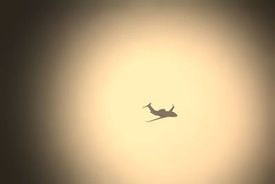 Low angle view of silhouette birds flying against clear sky