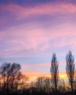 Silhouette bare trees against sky during sunset