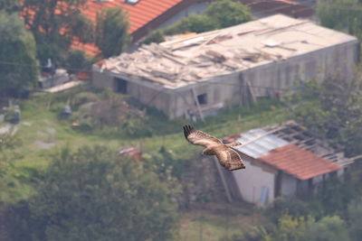 High angle view of bird flying against trees