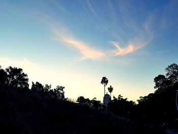 Silhouette trees on field against sky at sunset