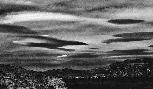 Close-up of bird against sky