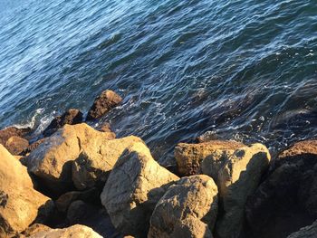 High angle view of rocks on beach