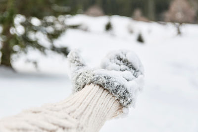 Closeup photo of a snow covered mitten. hand, winter, glove, outdoors.