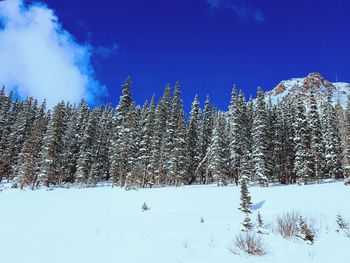 Scenic view of snow covered field against blue sky