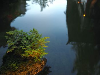 High angle view of trees by lake against sky
