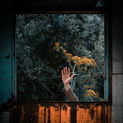 Cropped hand of woman looking through window