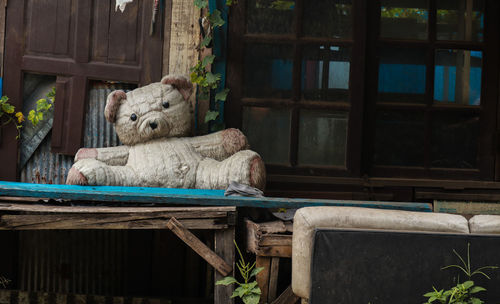 View of a toy resting on wooden table
