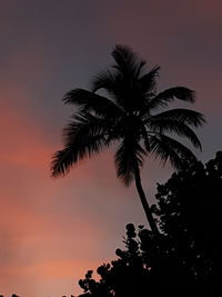 Low angle view of silhouette palm trees against sky