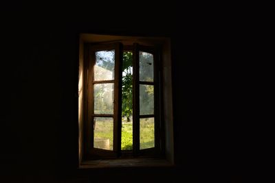 Trees seen through window