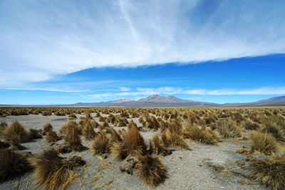 Panoramic view of desert against sky