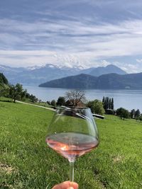 Glass on field by mountains against sky