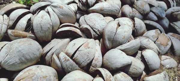 Full frame shot of vegetables for sale