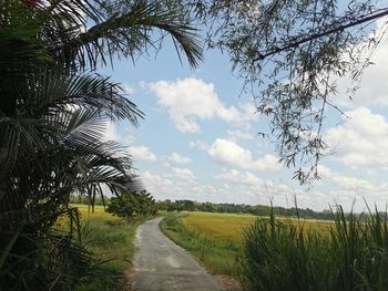 Road amidst trees on field against sky