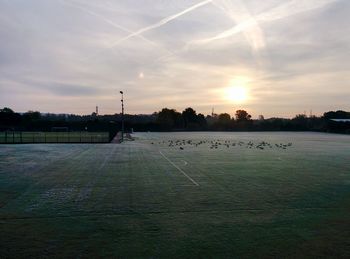 Scenic view of field against sky during sunset