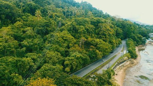 High angle view of road amidst trees in forest against sky