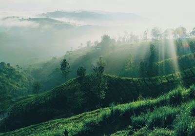 Scenic view of landscape against sky