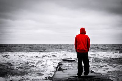 Rear view of man standing on beach