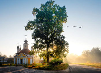 Tree with church in background against clear sky during sunset