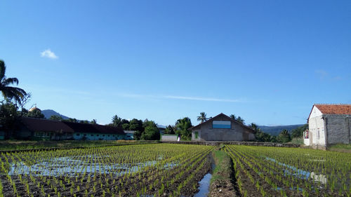 Houses on field against sky